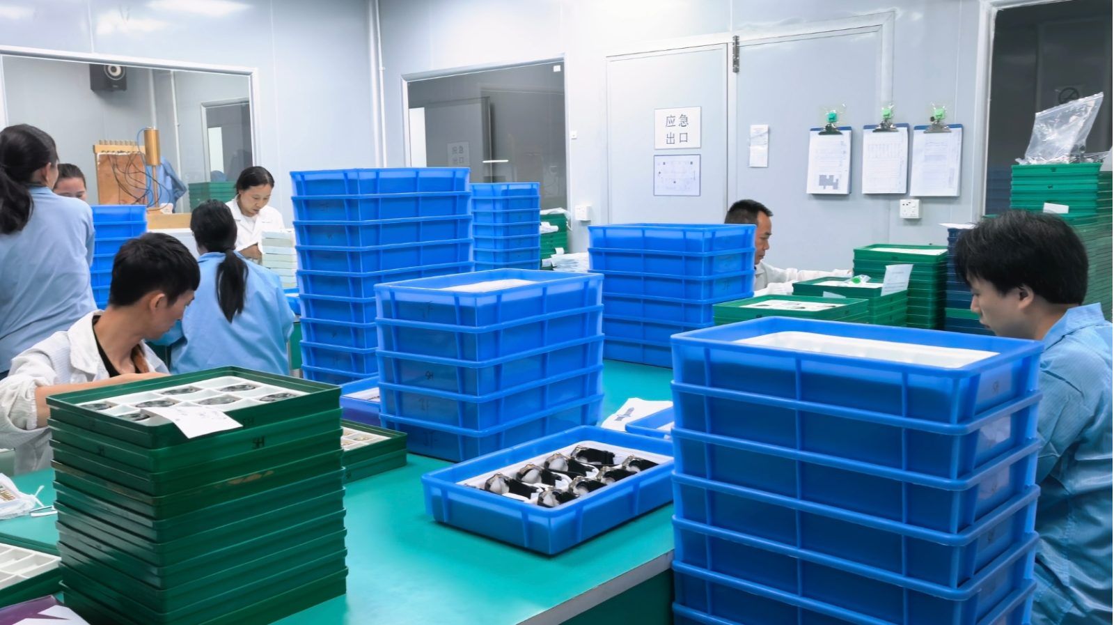 SH Watch Factory Inspection